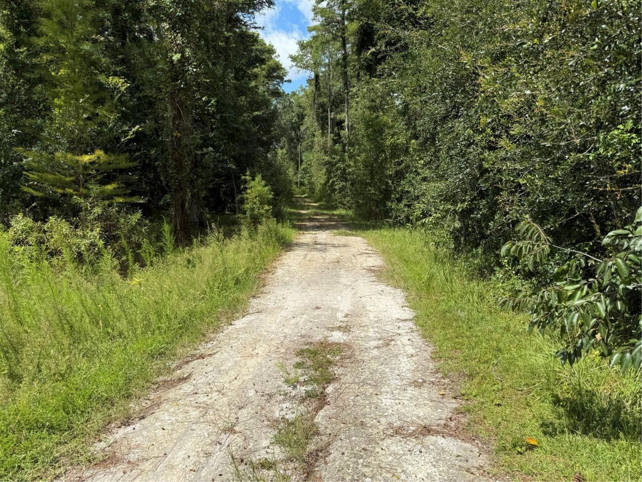 14875 Cr 751, Webster, FL 33597 Photo