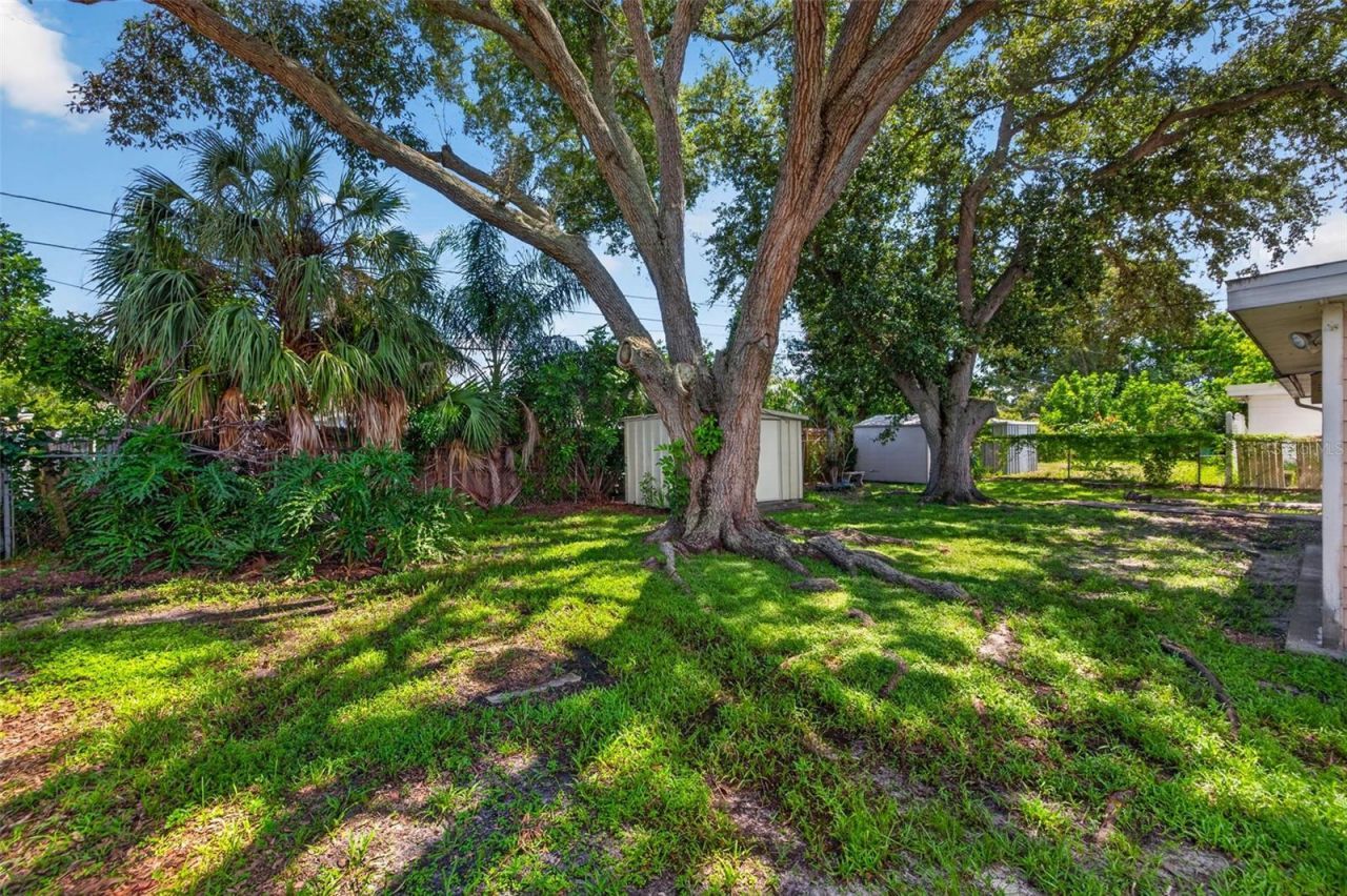 6549 21st Street N, Saint Petersburg, FL 33702 Photo