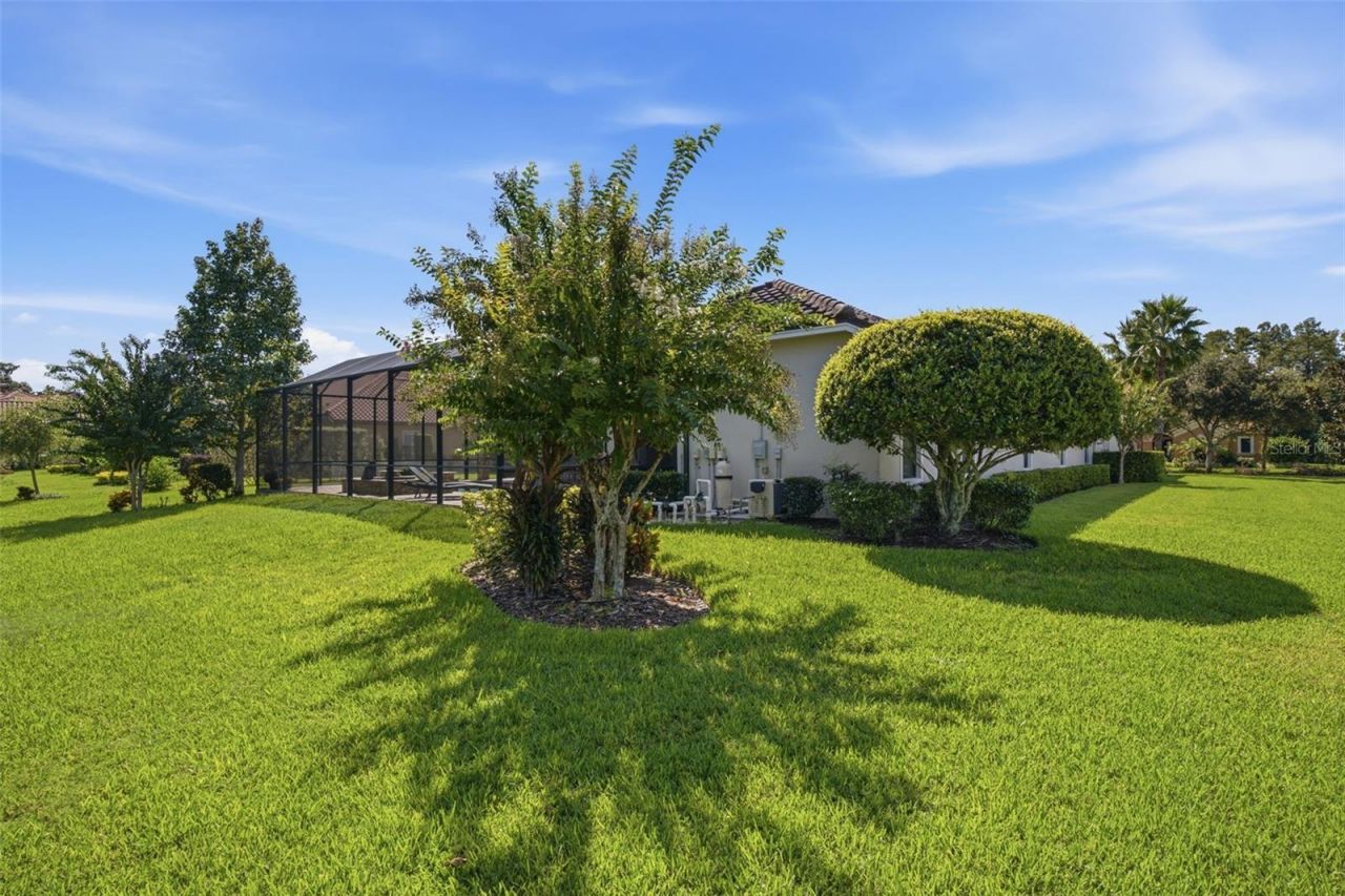 17309 Ladera Estates Boulevard, Lutz, FL 33548 Photo