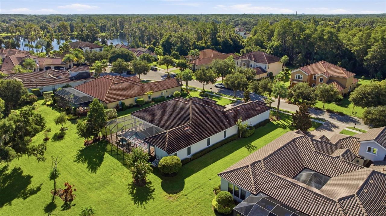17309 Ladera Estates Boulevard, Lutz, FL 33548 Photo