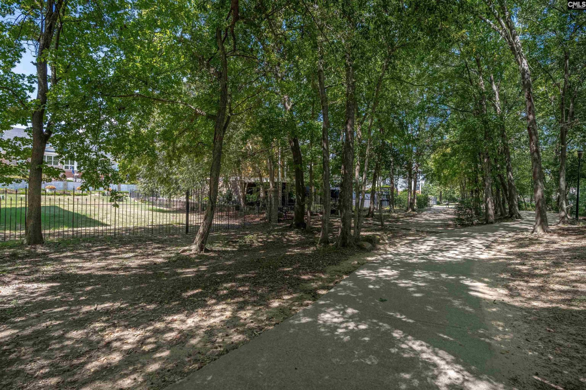 157 Congaree Park Drive Photo 9