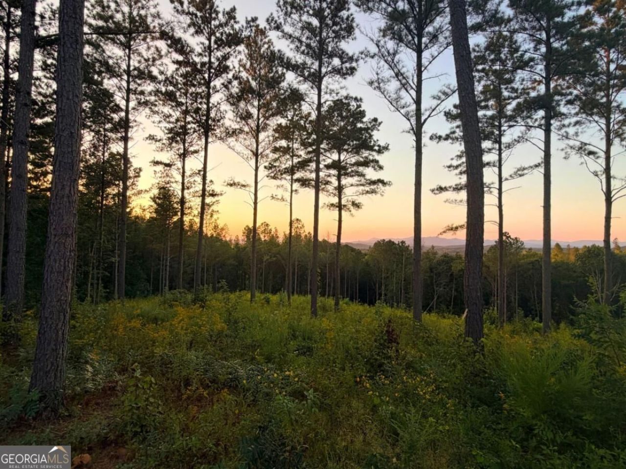 0 Lacey Springs Lane, Lot #64, Ellijay, GA 30540 Main Photo