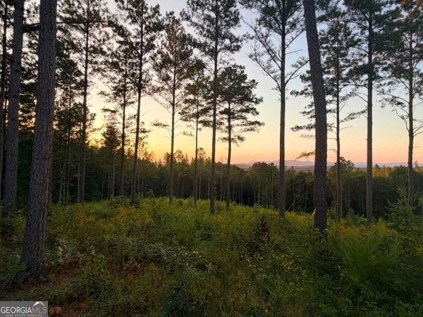 0 Lacey Springs Lane, Unit 64, Ellijay, GA 30540