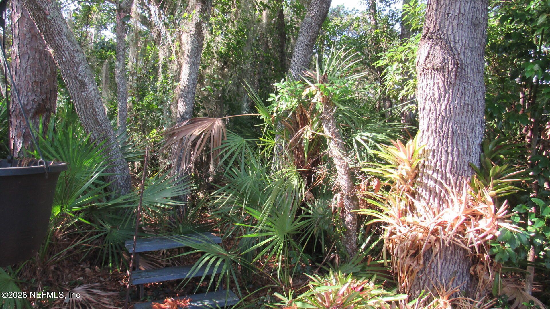2103 Stacey Drive, Mount Dora, FL 32757 Photo