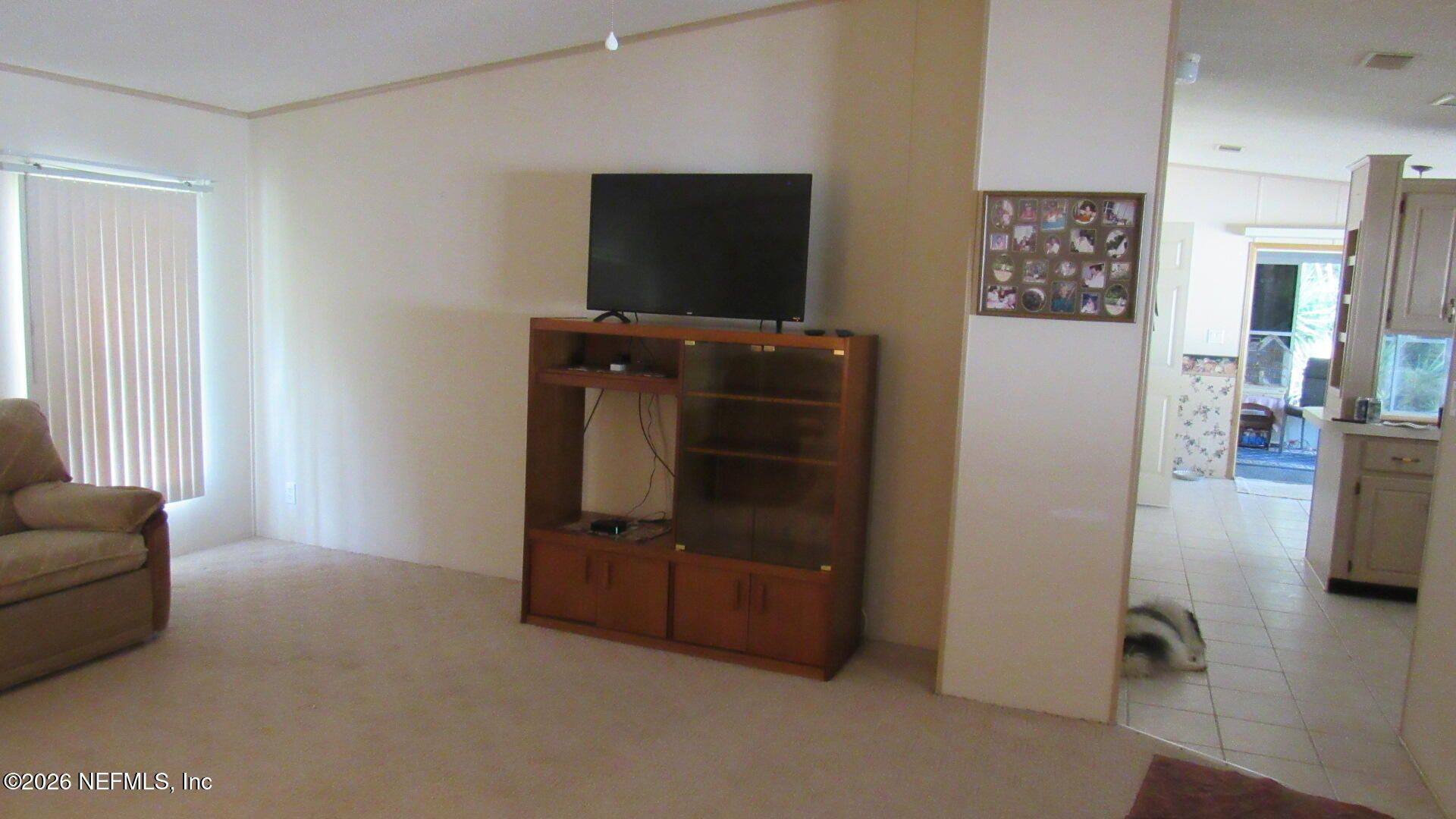 2103 Stacey Drive, Mount Dora, FL 32757 Photo