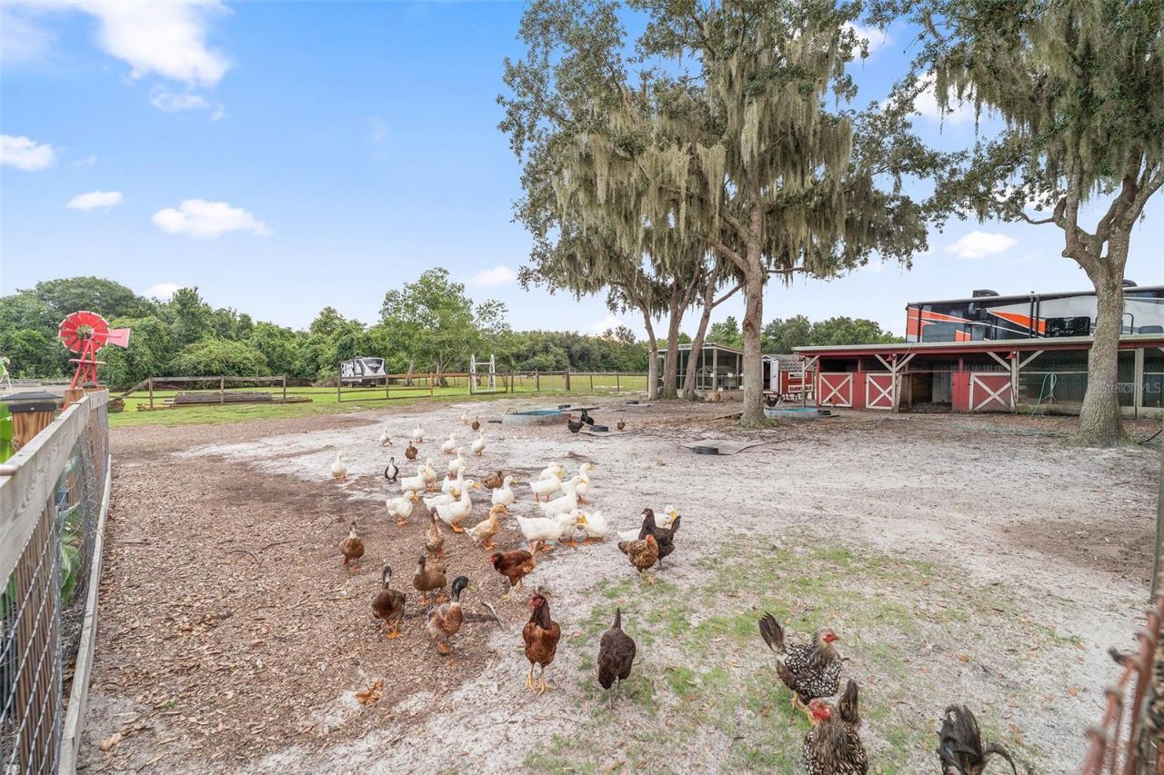 4594 Hickory Tree Rd, Saint Cloud, FL 34772 Photo