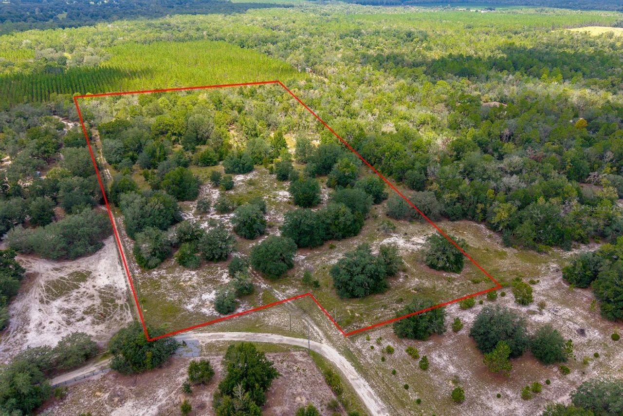 220 NE 108th Lane, Branford, FL 32008 Photo