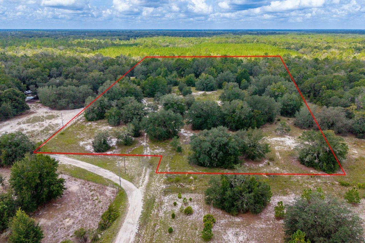 220 NE 108th Lane, Branford, FL 32008 Photo