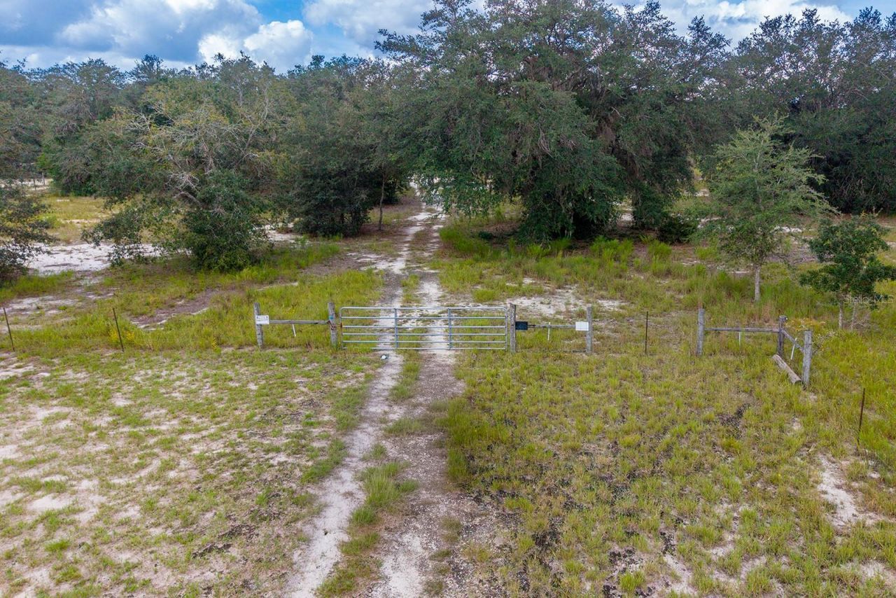 220 NE 108th Lane, Branford, FL 32008 Photo