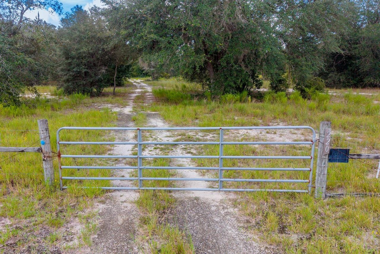 220 NE 108th Lane, Branford, FL 32008 Photo