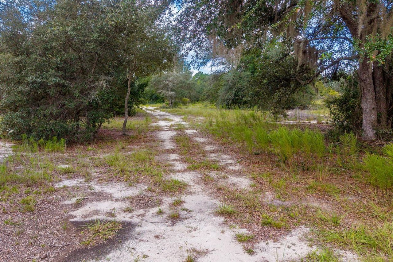 220 NE 108th Lane, Branford, FL 32008 Photo