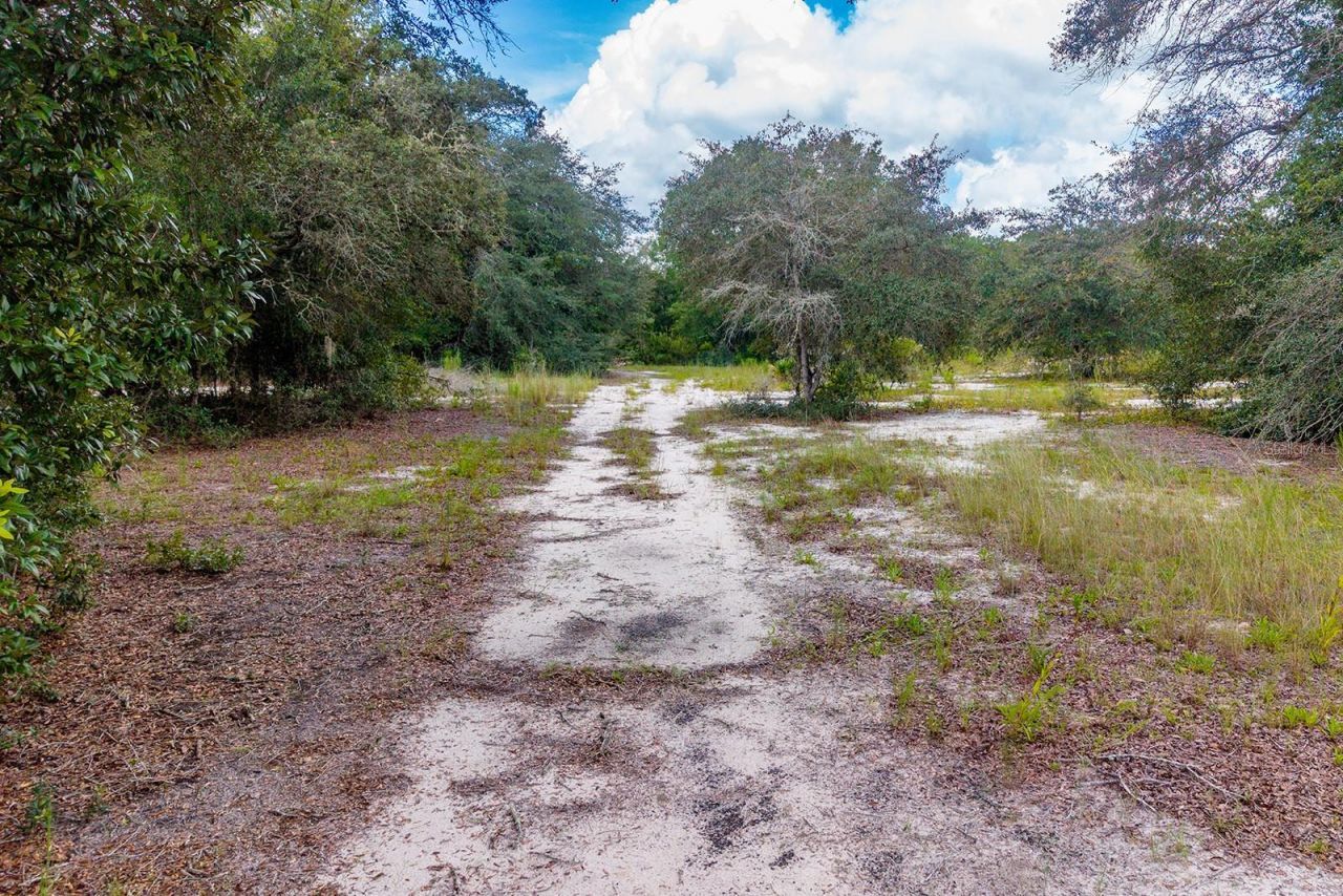 220 NE 108th Lane, Branford, FL 32008 Photo
