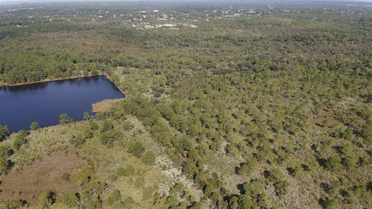 Valkaria, Grant Valkaria, FL 32949 Photo