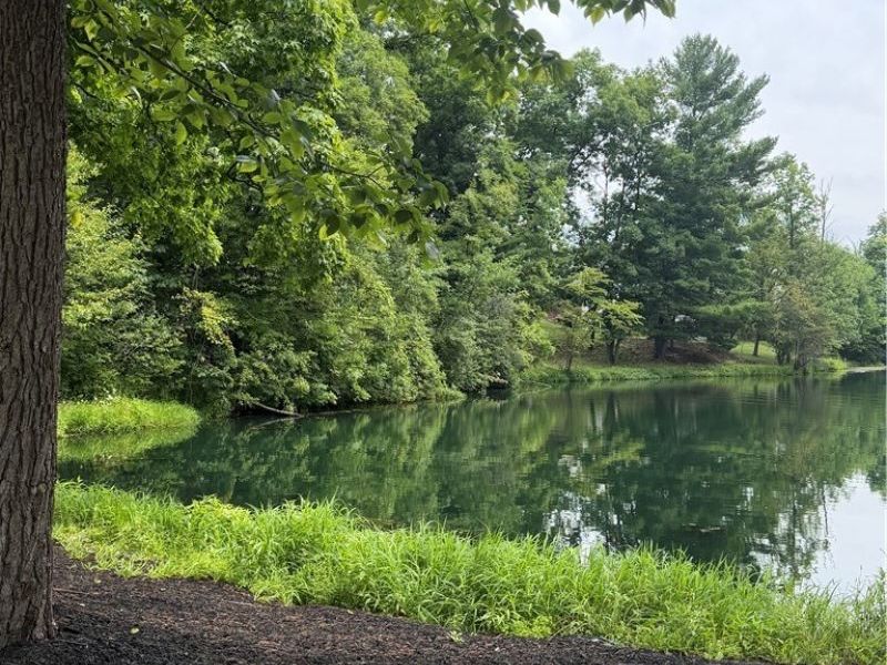12225 Pheasant Run Circle, North Royalton, OH 44133 Photo 36