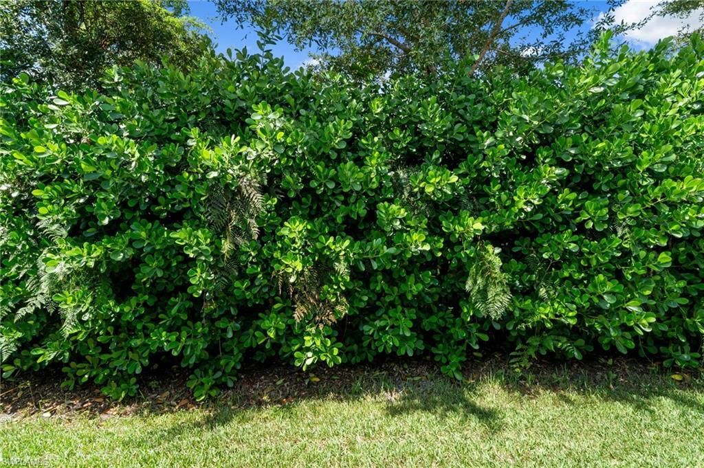 9086 Woodhurst Dr, Naples, FL 34120 Photo