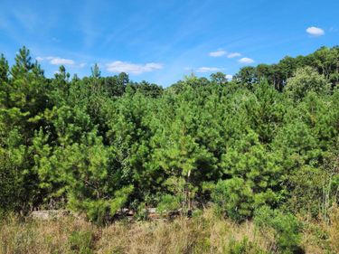 0 Ten Ten Road, Apex, NC 27539