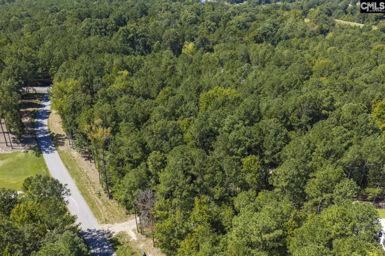 Lot 205 Peninsula Drive Photo 6