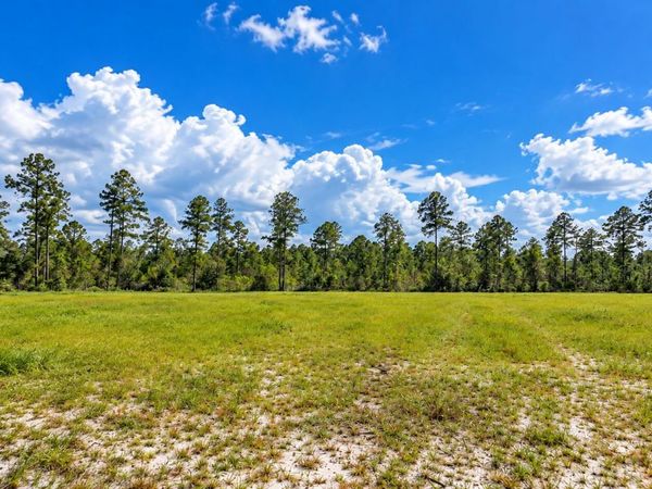 821 Okefenokee Club Road, Folkston, GA 31537