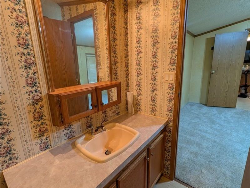 316 Britton Drive, Geneva, OH 44041 Photo 22