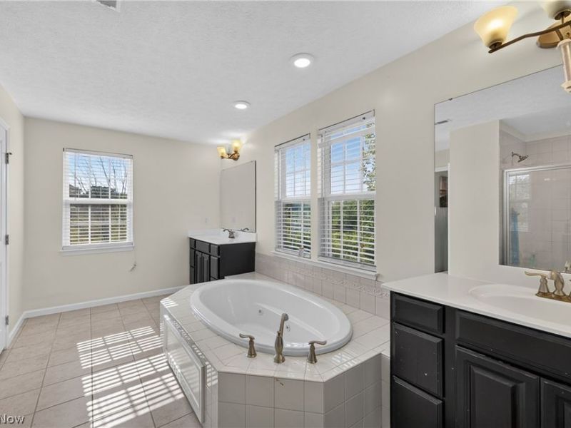 7941 Megan Meadow Drive, Hudson, OH 44236 Photo 24