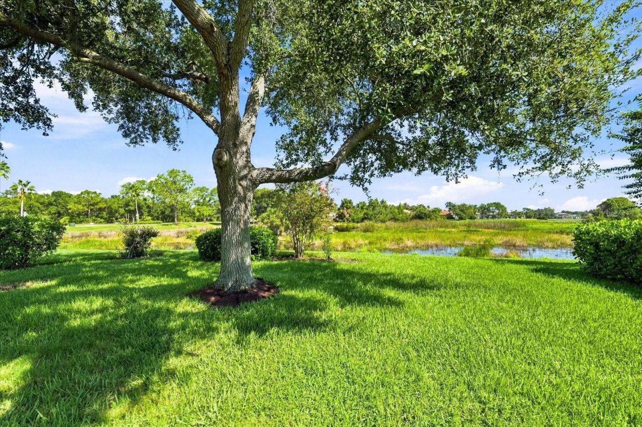10209 Silverado Circle, Lakewood Ranch, FL 34202 Photo