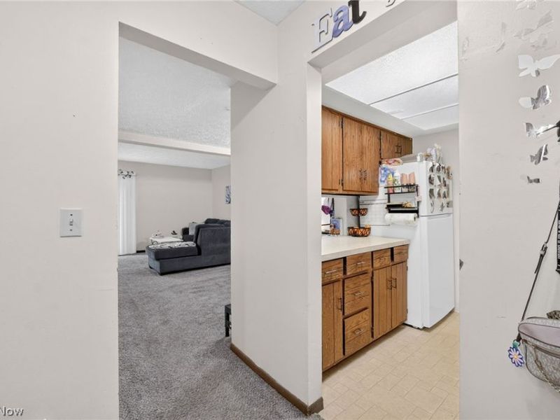 1133 Townsview Place, Wooster, OH 44691 Photo 2