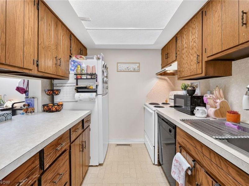 1133 Townsview Place, Wooster, OH 44691 Photo 3