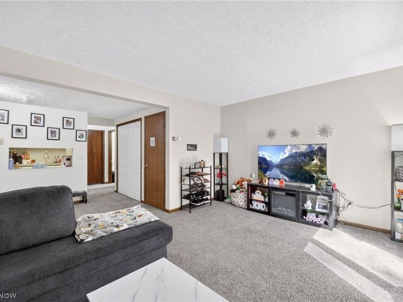 1133 Townsview Place, Wooster, OH 44691 Photo 7