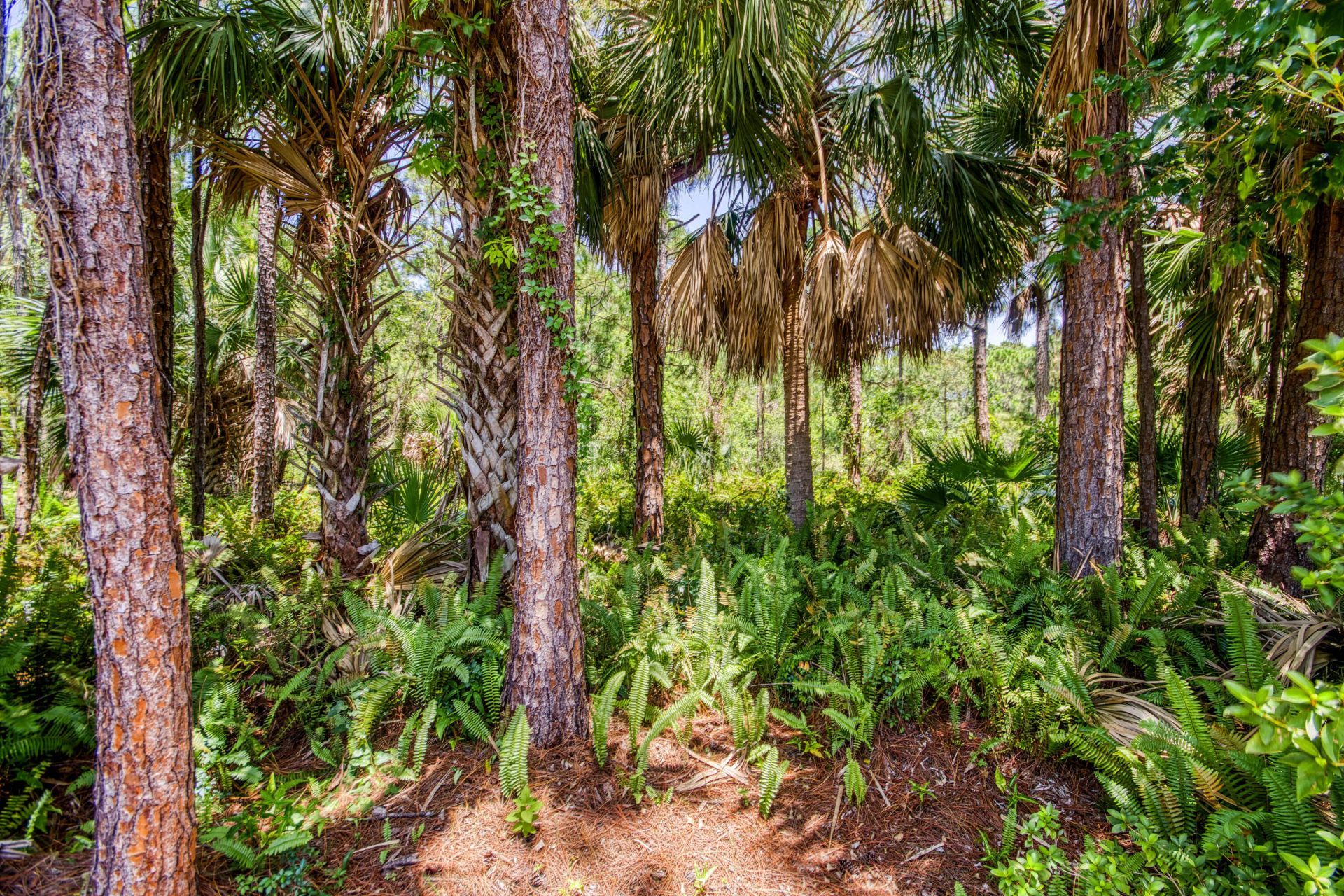 18828 Still Lake Drive, Jupiter, FL 33458 Photo