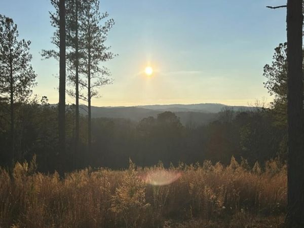 Lot 80 Seven Mile Creek Road, Talking Rock, GA 30175