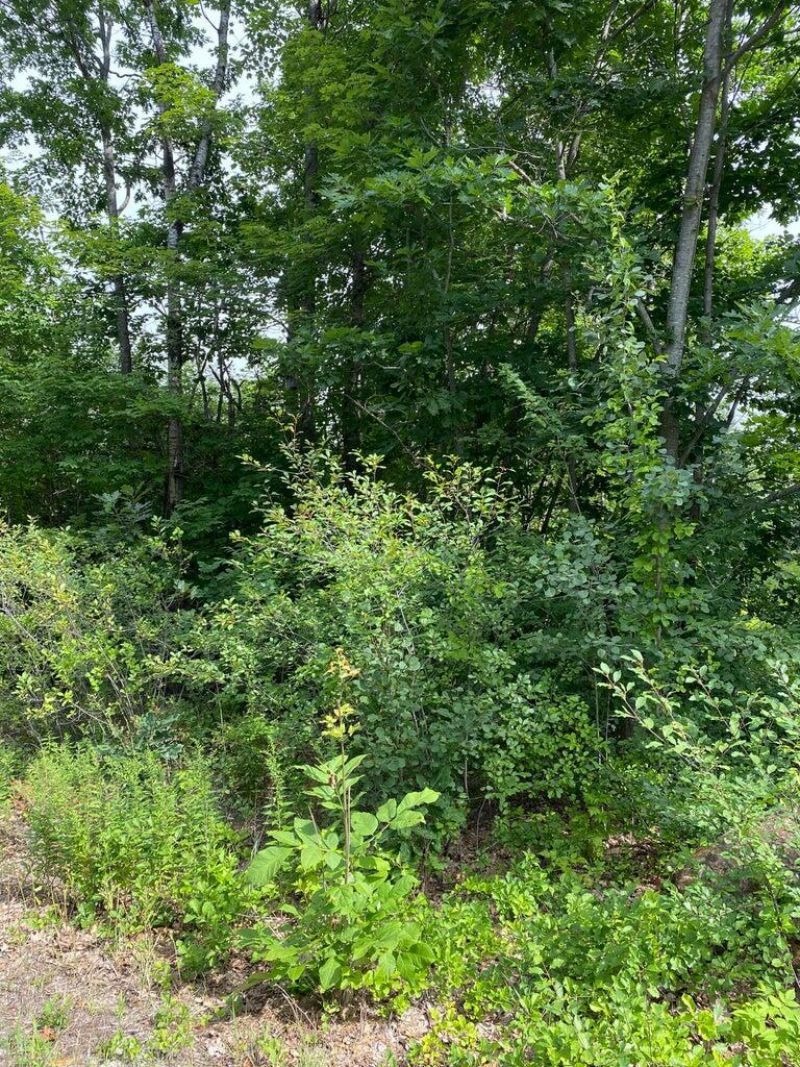 Lot 58c Heather Lane, Falmouth, ME 04105 Main Photo