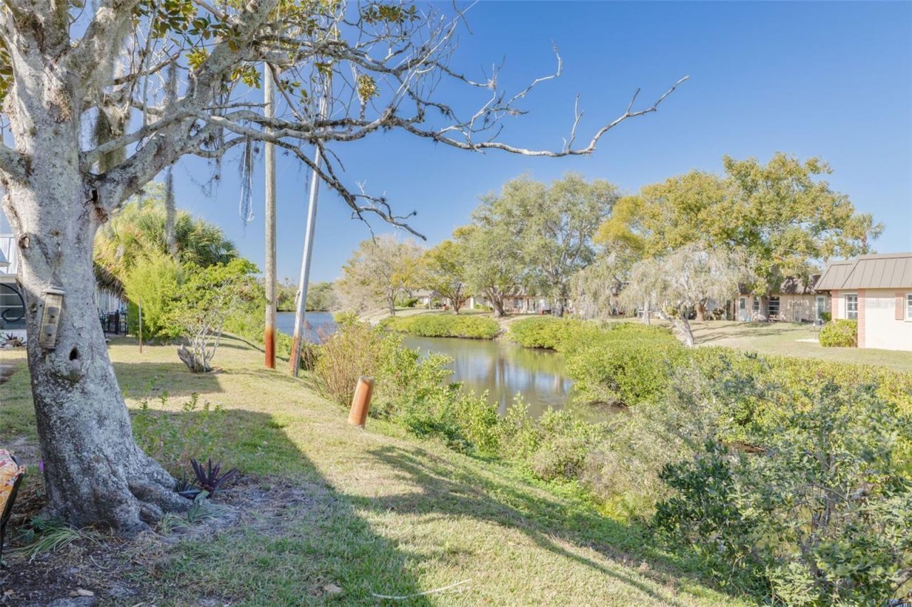 Please Call For Address, New Port Richey, FL 34652 Photo