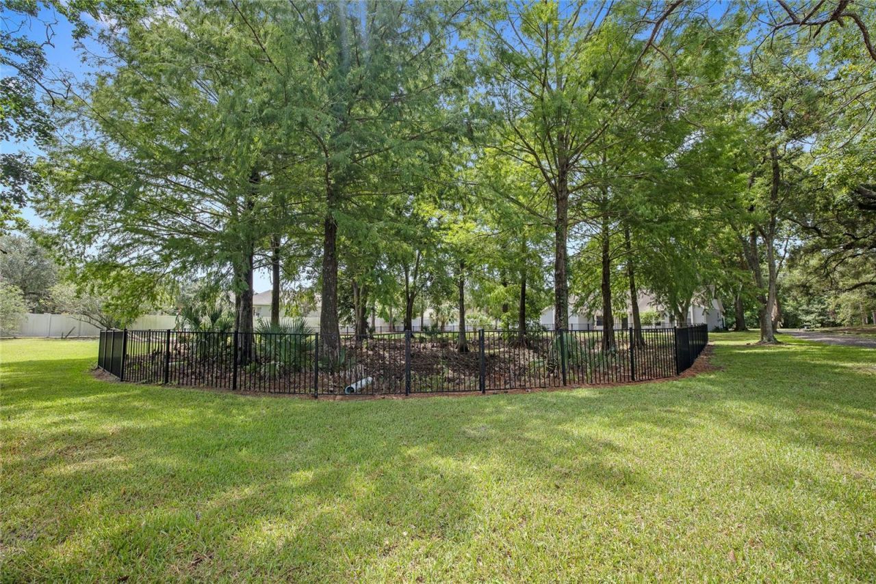 880 W Plant Street, Winter Garden, FL 34787 Photo