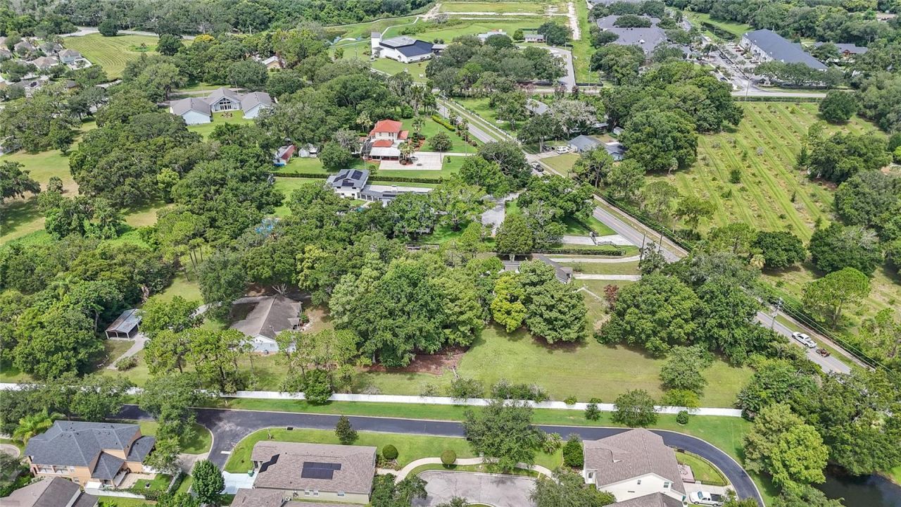 880 W Plant Street, Winter Garden, FL 34787 Photo
