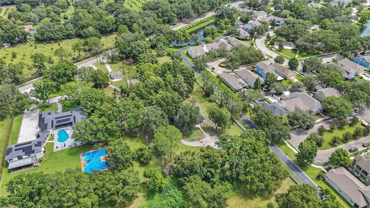 880 W Plant Street, Winter Garden, FL 34787 Photo
