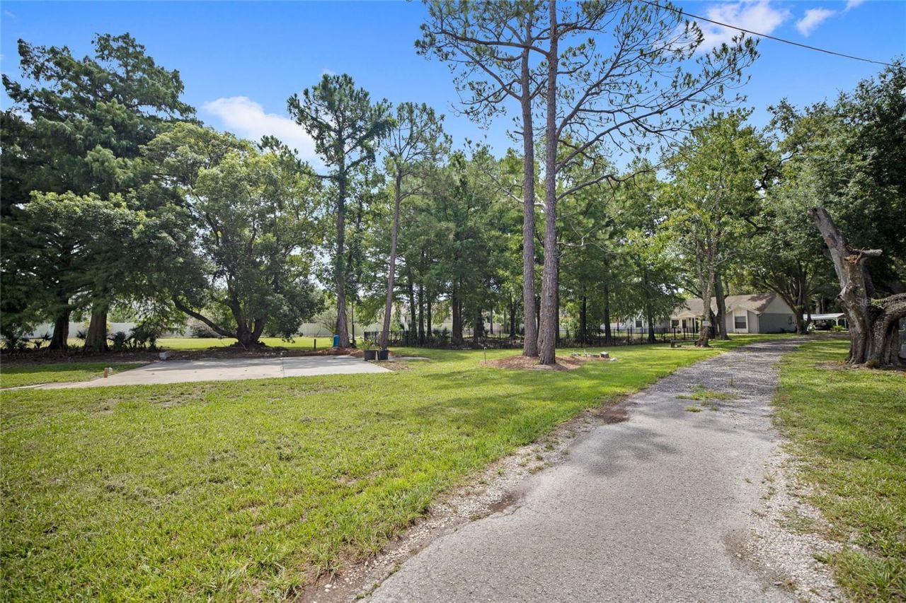 880 W Plant Street, Winter Garden, FL 34787 Photo
