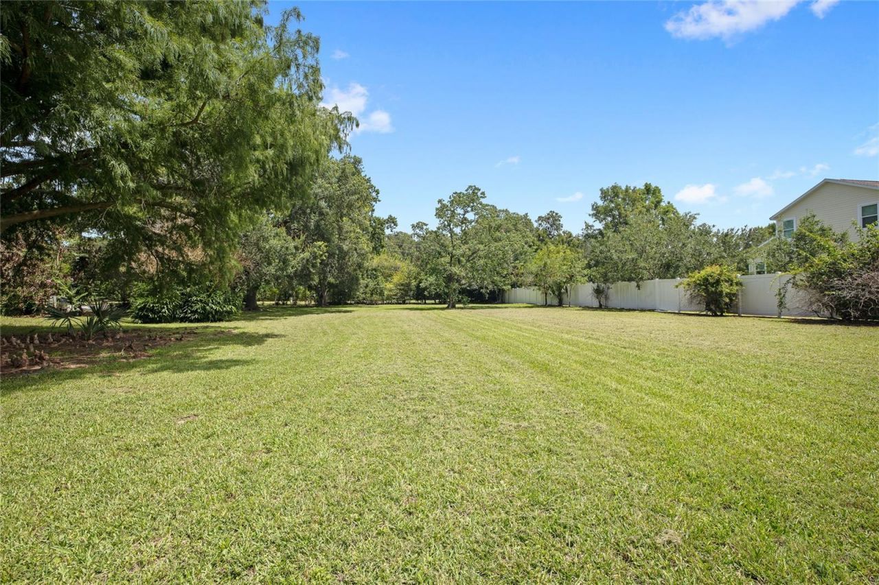 880 W Plant Street, Winter Garden, FL 34787 Photo