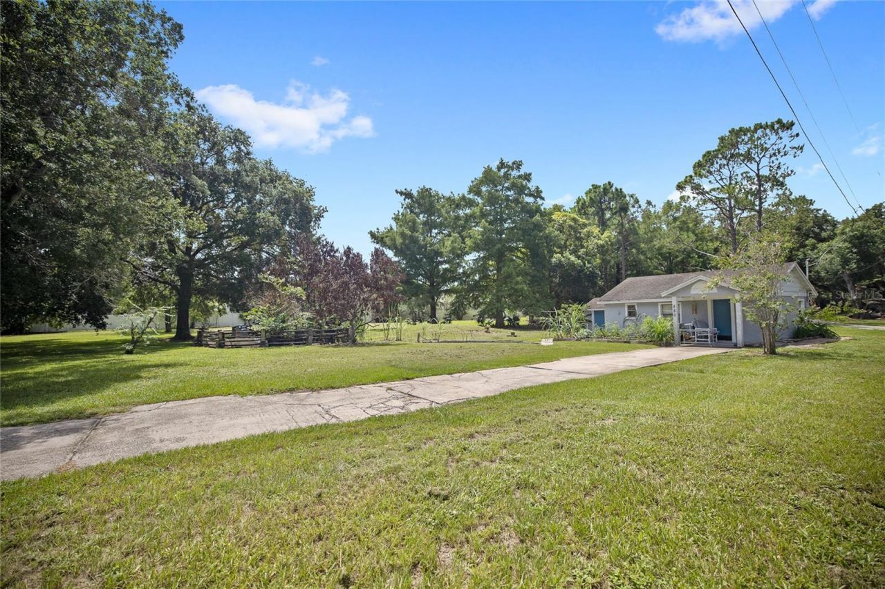 880 W Plant Street, Winter Garden, FL 34787 Photo