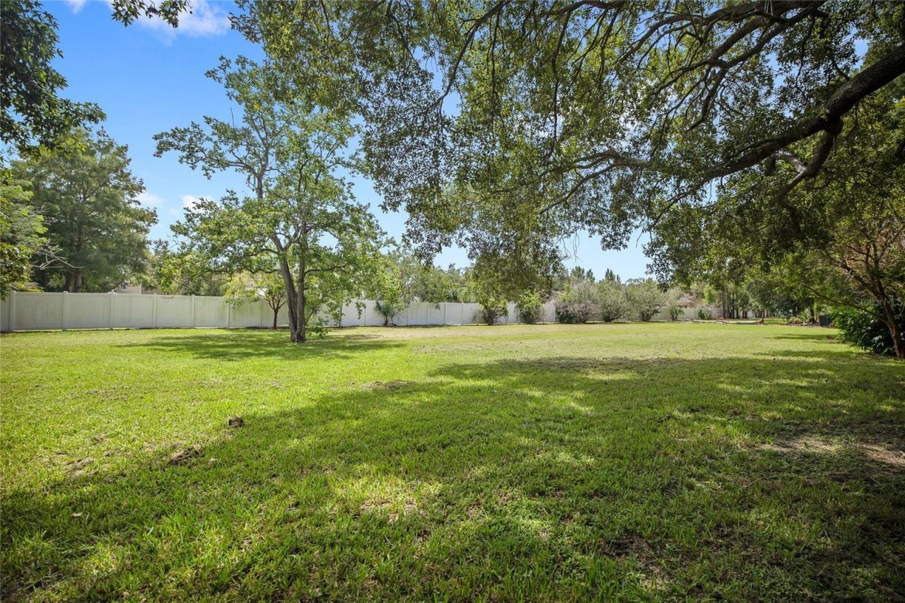 880 W Plant Street, Winter Garden, FL 34787 Photo