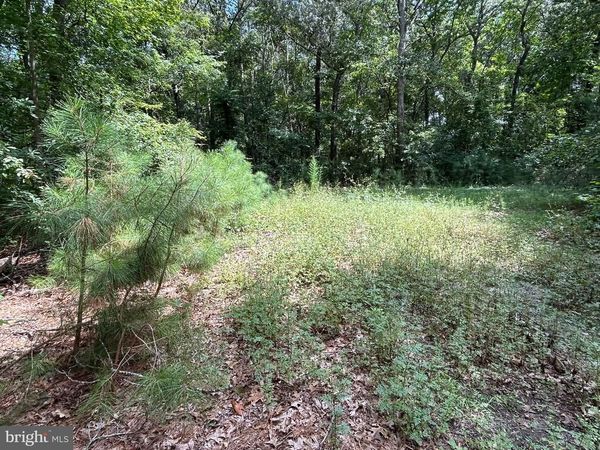 34179 SPLIT RAIL LANE, FRANKFORD, DE 19945