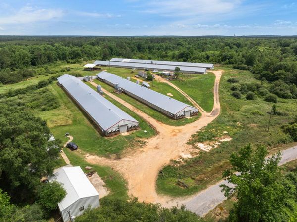 292 Arbo, Mount Olive, MS 39119