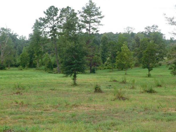 0000 Rocky Branch Rd., Sumrall, MS 39482