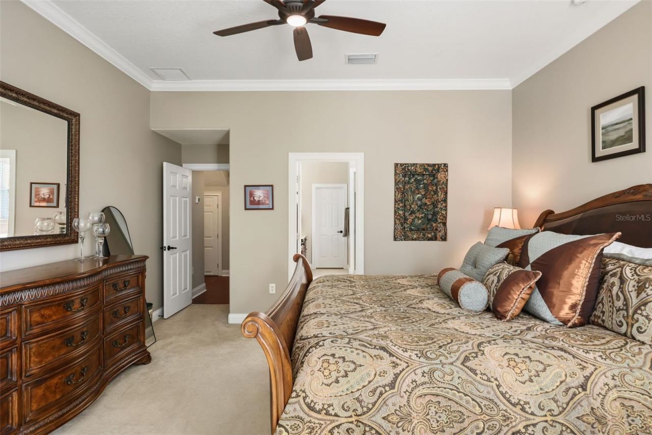 137 Petris Avenue, Oakland, FL 34760 Photo