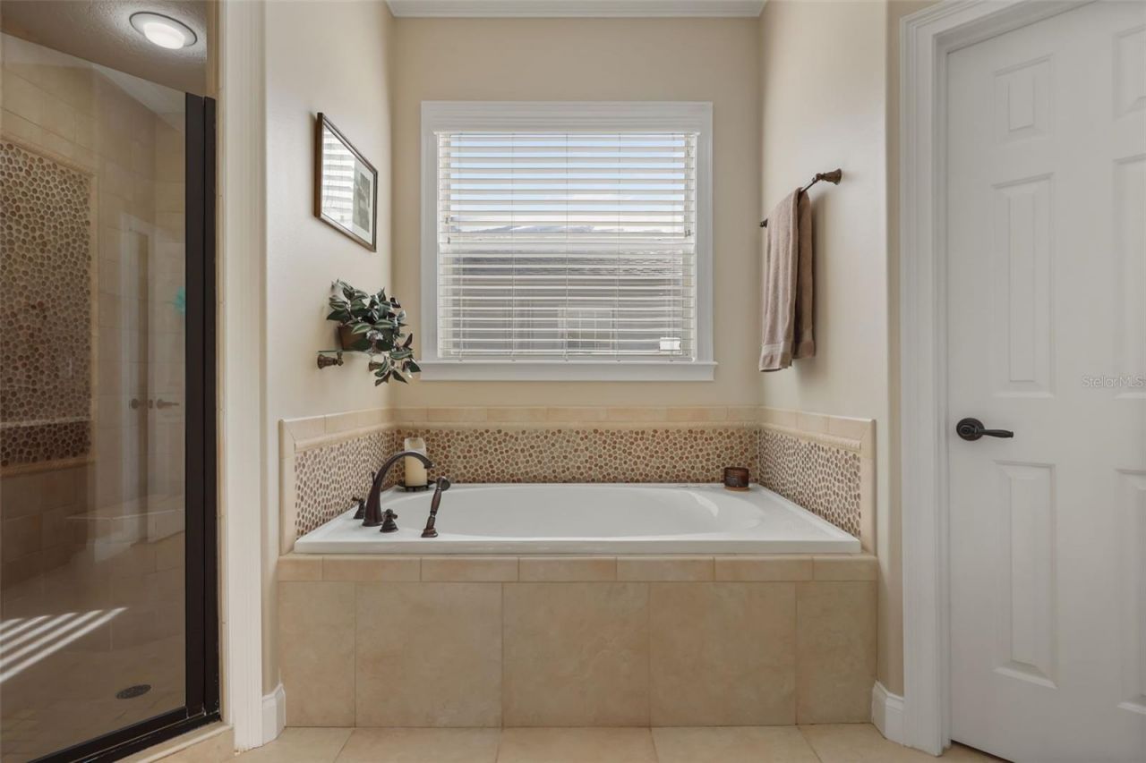 137 Petris Avenue, Oakland, FL 34760 Photo