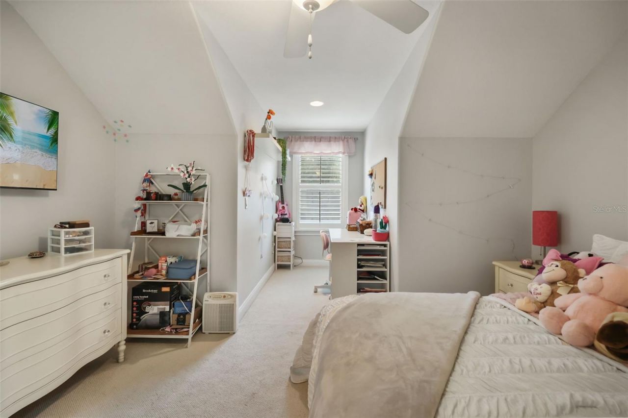 137 Petris Avenue, Oakland, FL 34760 Photo