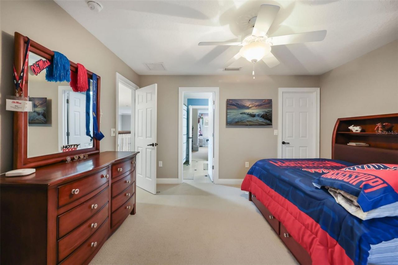 137 Petris Avenue, Oakland, FL 34760 Photo