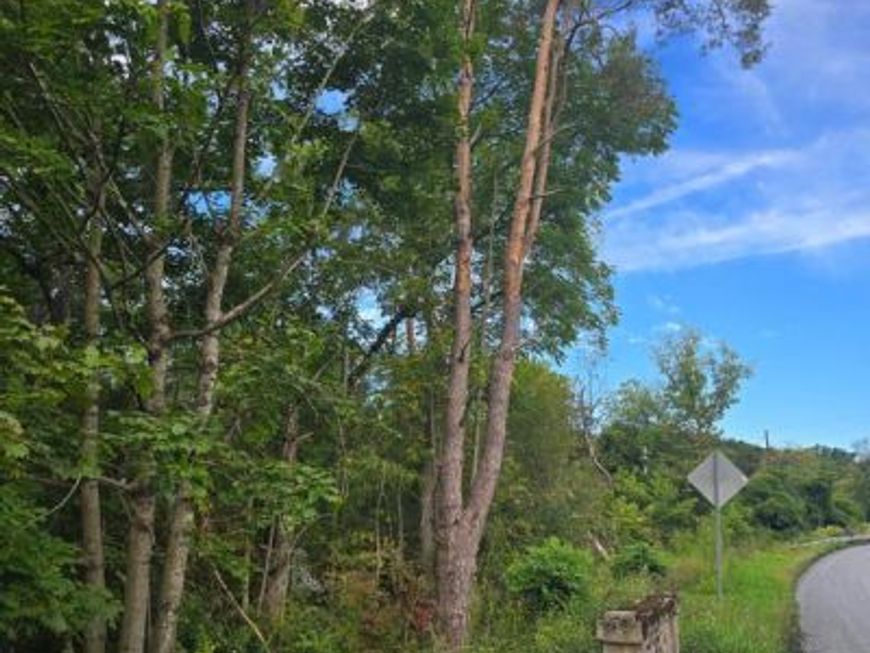 0 E Adamsdale Road , Schuylkill Haven, PA 17972 Main Photo