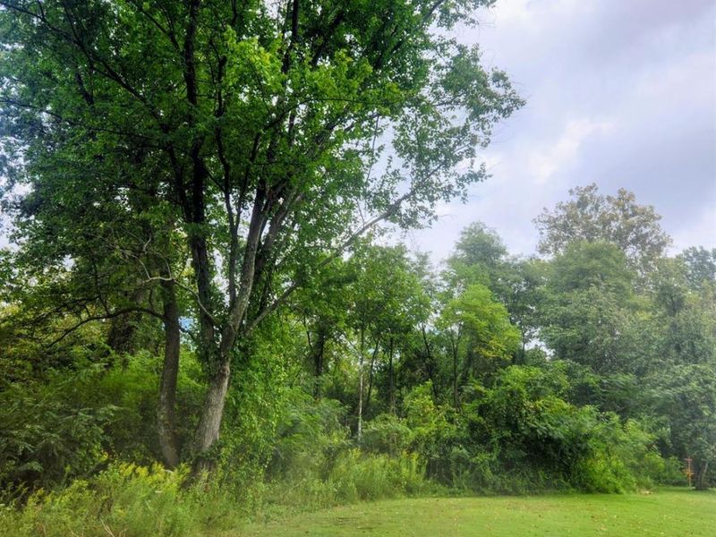 3509 Virginia Drive, Amelia, OH 45102 Photo 25