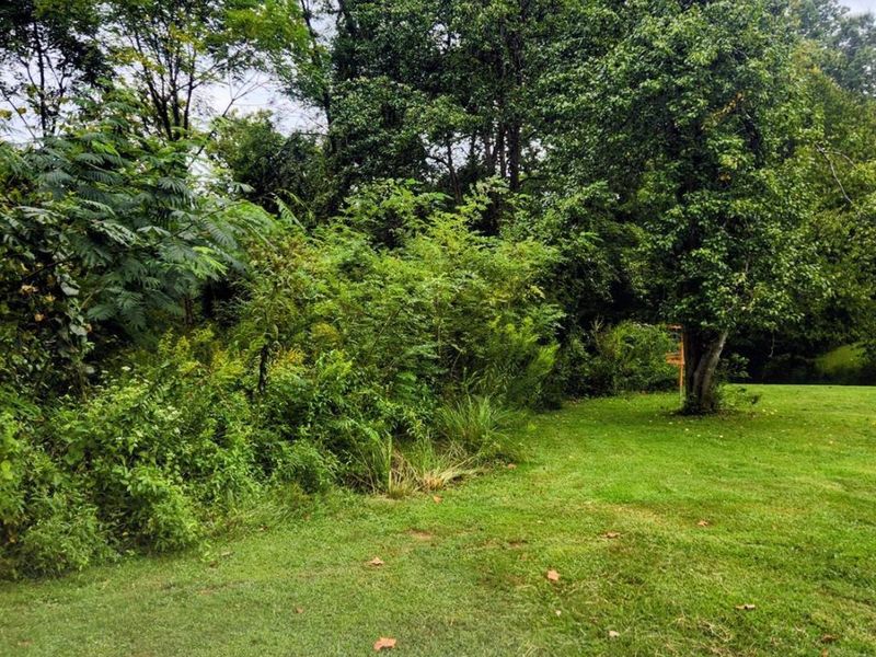3509 Virginia Drive, Amelia, OH 45102 Photo 27