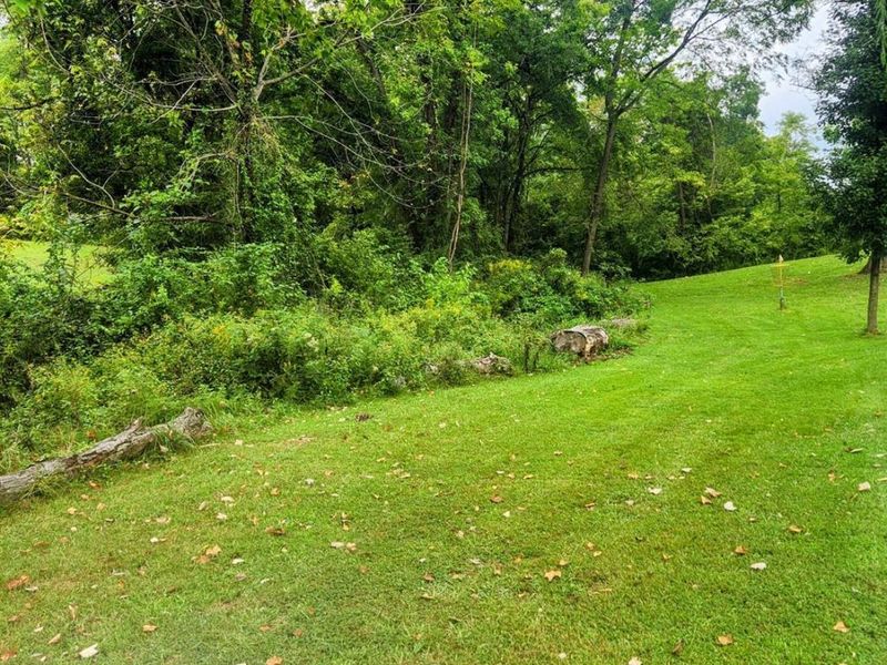 3509 Virginia Drive, Amelia, OH 45102 Photo 59